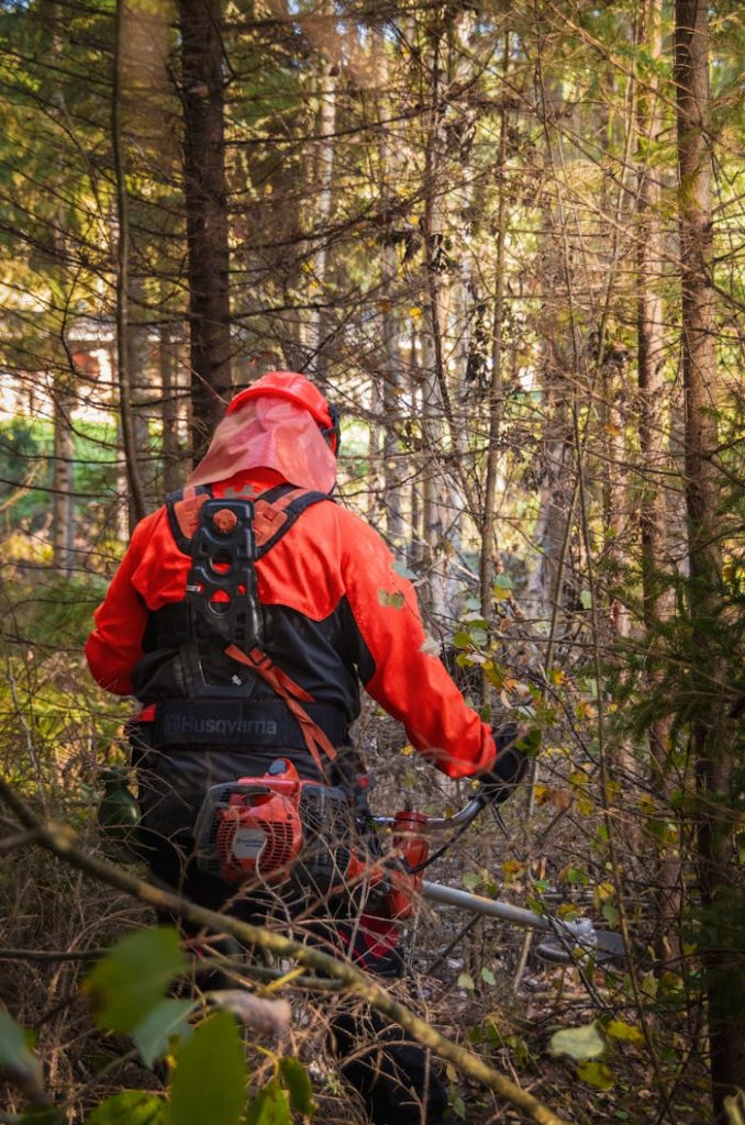 Forest worker wearing safety gear using a brushcutter in a dense Finnish forest.